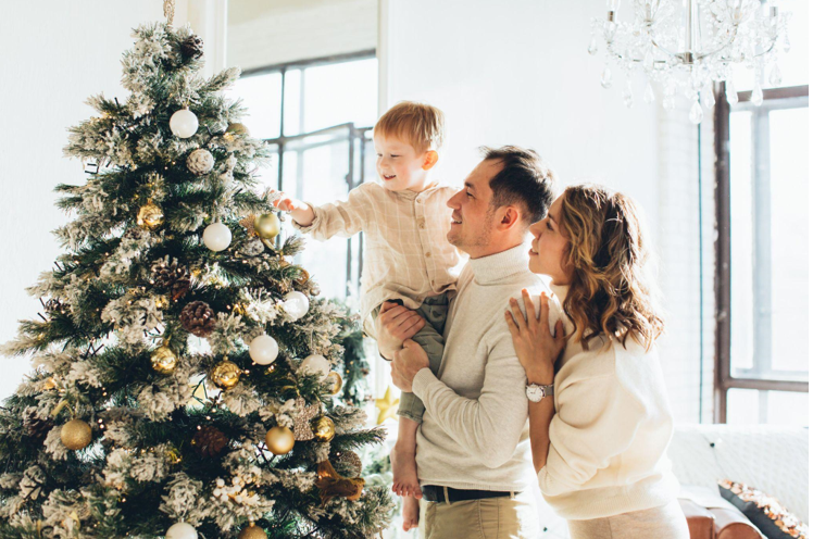 Flocked Artificial Christmas Trees and Garlands