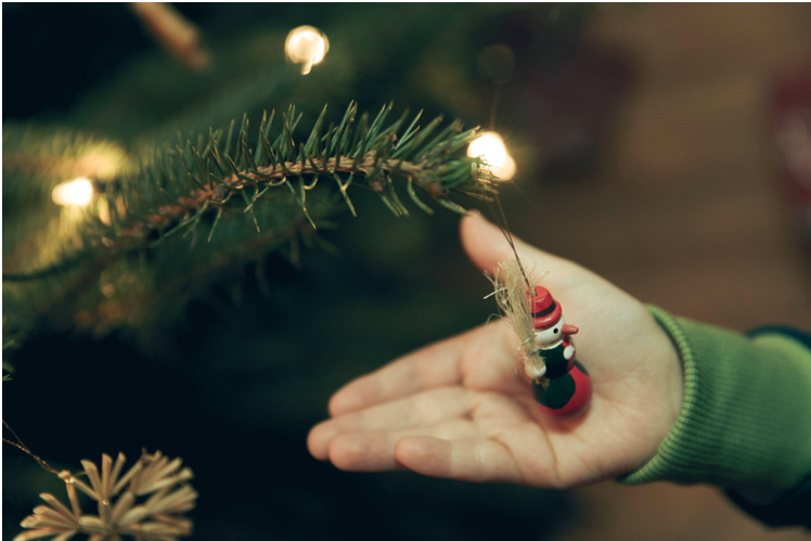 Magical Ornaments and the Charm of Flocked Trees