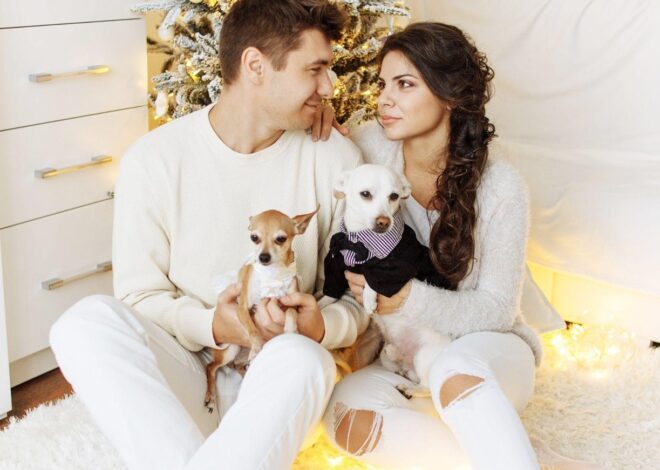 Enhance Your Holiday Decor with Crystal Ornaments